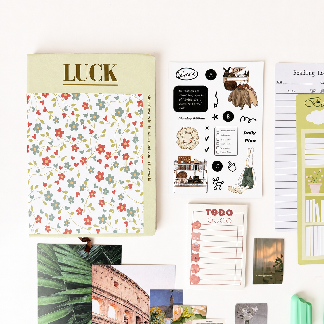 Salad Bloom  Box — Grow a Quieter Mind, One Page at a Time